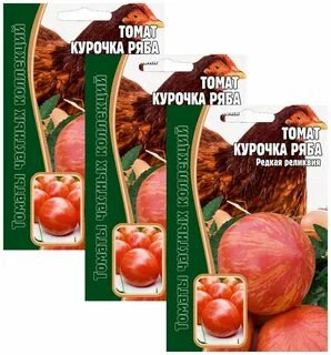 Томат курочка
