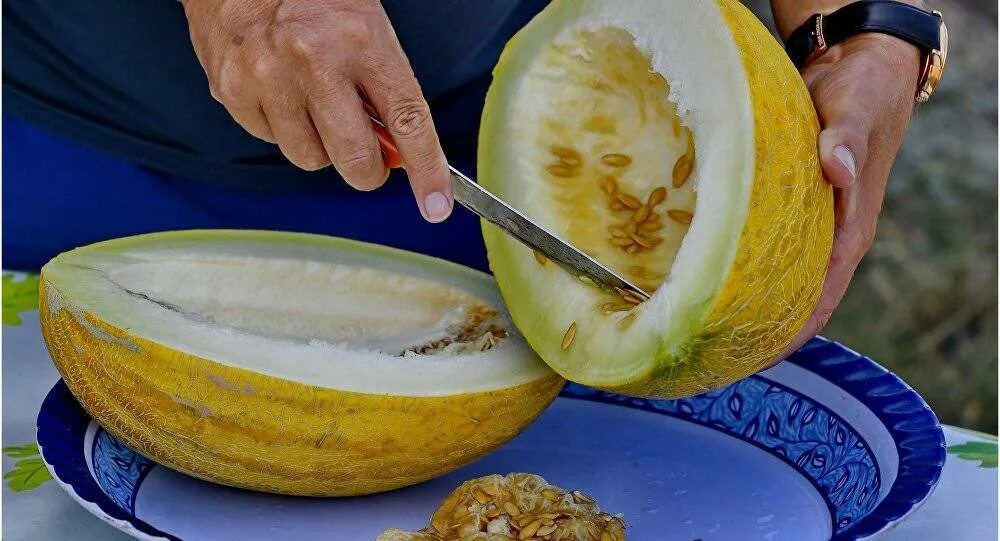 Дыня х. Дыня х. Дыня туркменистан. Дыня. Дыня сорт дина.