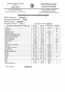 Лаборатория анализы собак