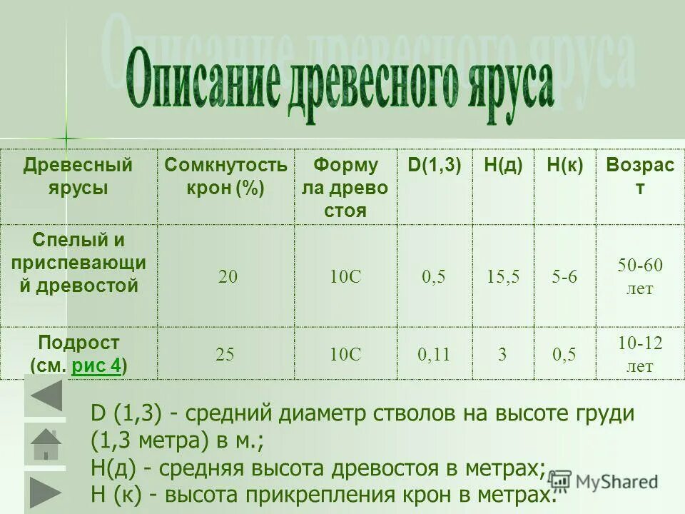 Оценки: сомкнутости полога. Сомкнутость полога. Сомкнутость полога. Степень сомкнутости крон древостоя. Сомкнутость полога древостоя.