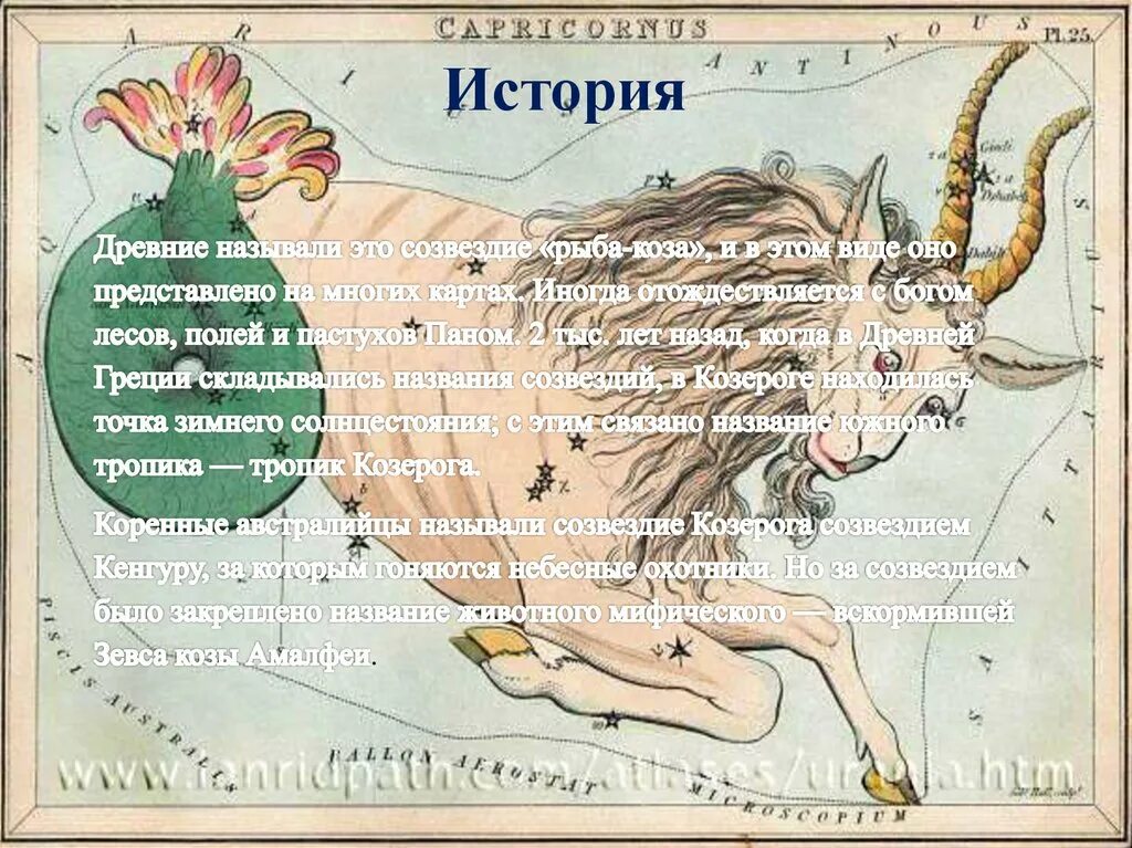 Почему все козероги