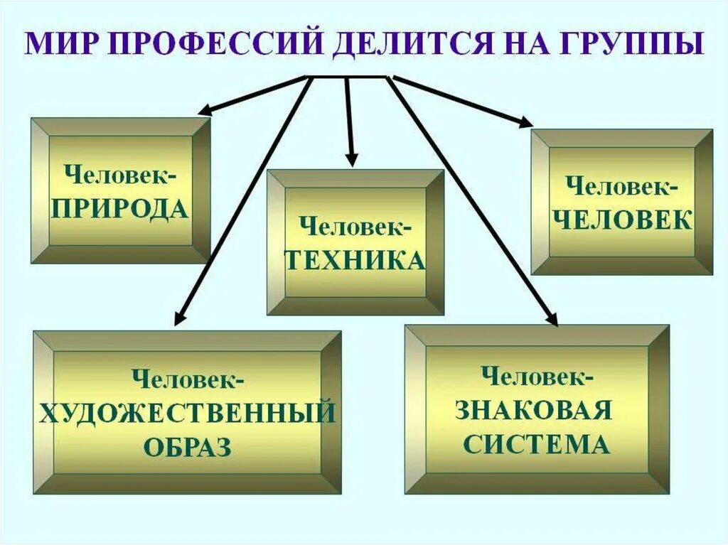 Какие сообщества создал человек