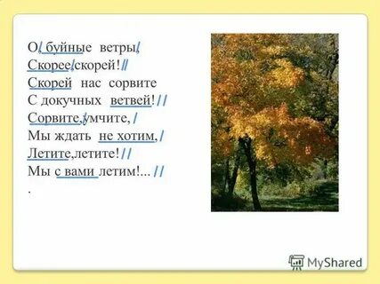Смысл песни ах вы ветры ветры буйные