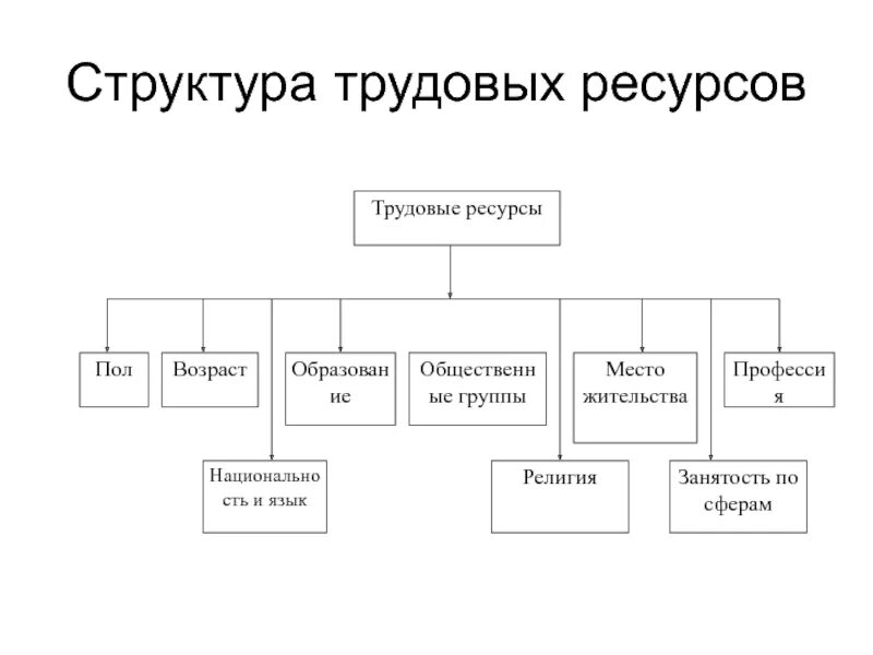 Структура ресурсов предприятия. Структура трудовых ресурсов предприятия. трудовые ресурсы предприятия схема. состав и структура трудовых ресурсов организации. состав трудовых ресурсов предприятия.