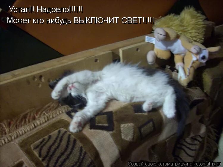 Уставший надоесть