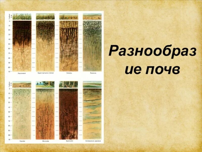 Почвы россии 4 класс 21 век презентация. Разнообразие почв. Разнообразие видов почв. Почвы разнообразие почв. Разнообразие почв окружающий мир.