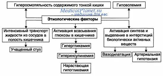 Инвазивные методы диагностики. Демпинг синдром. Тонические сокращения тонкой кишки. Исследование желудочного содержимого тонким зондом. Пищеварение в тонком и толстом кишечнике.