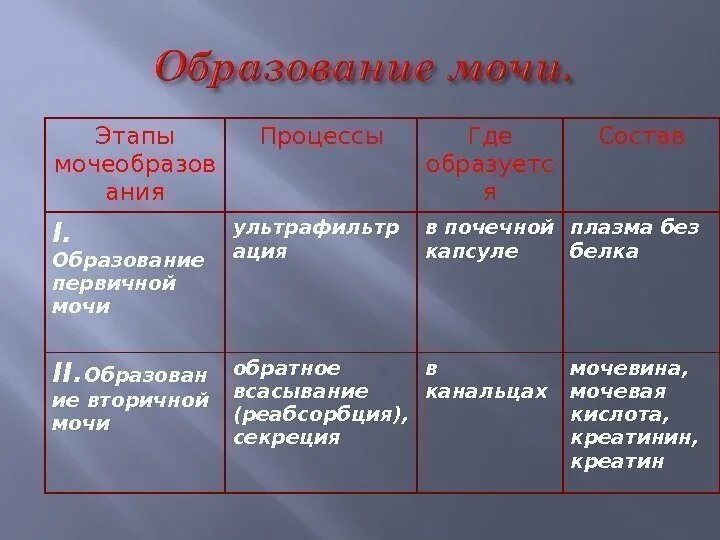 Сколько образуется вторичной мочи. Этапы образования мочи таблица. Этапы образования мочи. Этапы образования первичной мочи. Механизм образования мочи таблица.