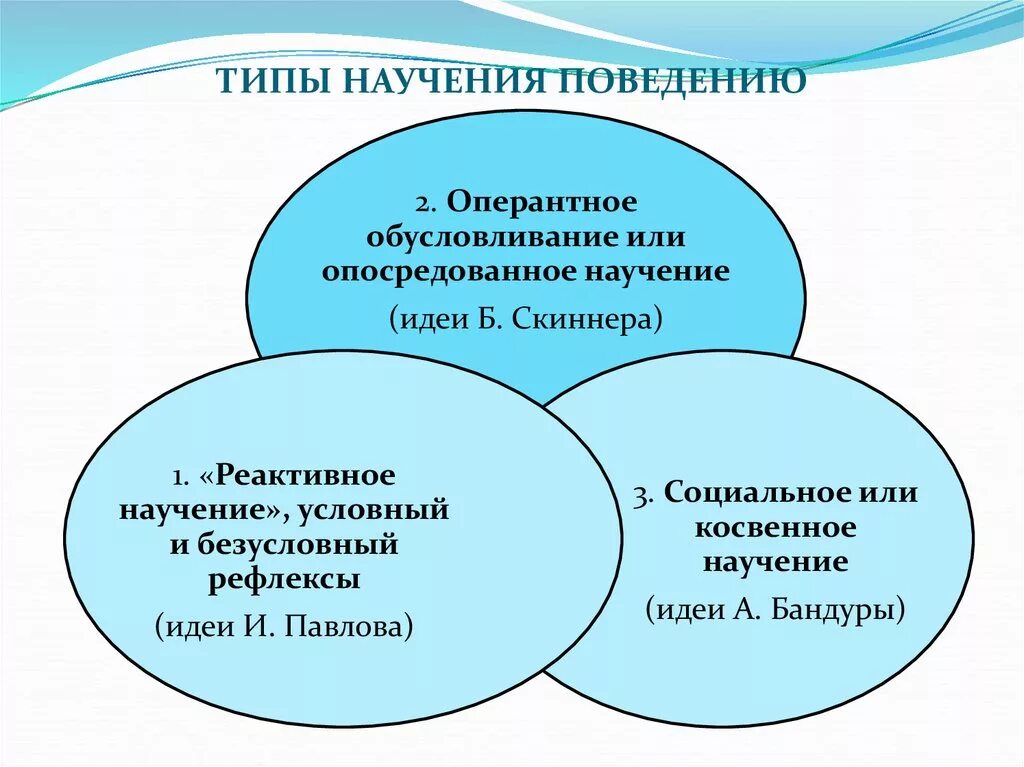 Научение поведению это