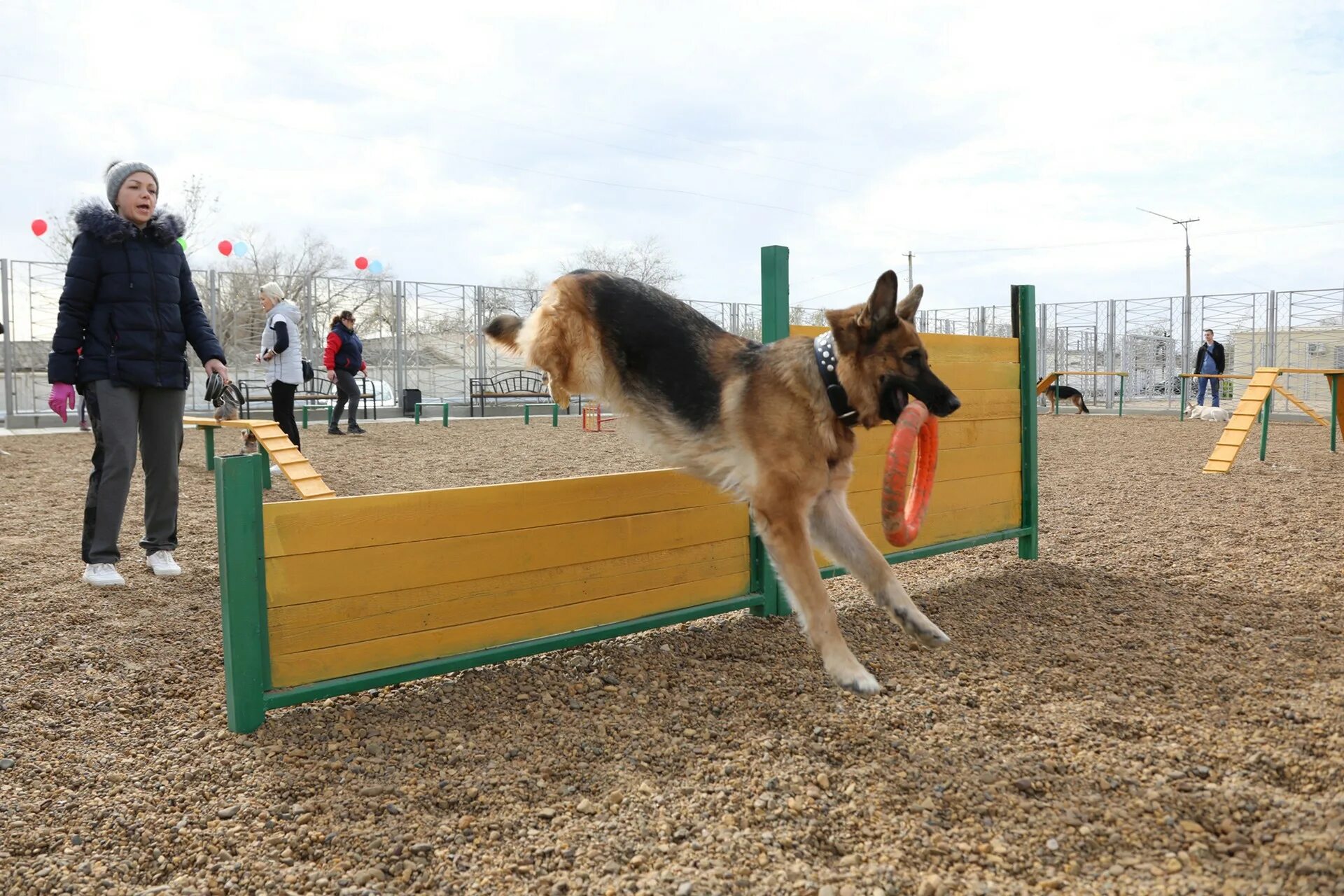 снаряды окд для собак. кинологические площадки в москве. современные собачьи площадки. дрессировочная площадка для служебных щенков. дрессировочная площадка для собак.