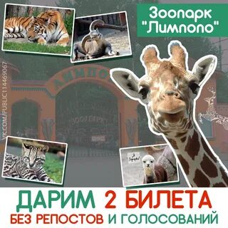 Зоопарк скидки в день рождения