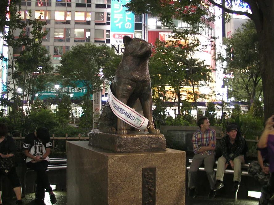 Памятник хатико в токио. Памятник хатико в японии. Памятник псу хатико в японии. В каком городе стоит памятник хатико. Памятник хатико в японии история.