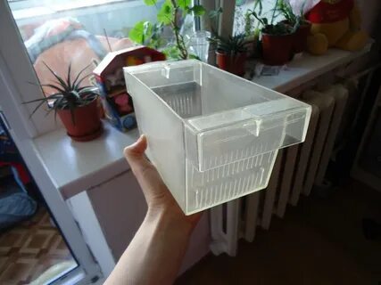 Отсадник для аквариума