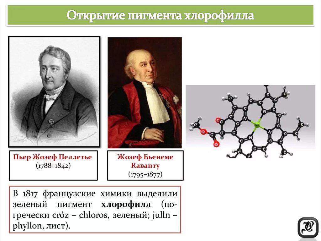 Впервые значение хлорофилла установил русский ученый. Жозеф Каванту. Пьер Жозеф Пельтье и Жозеф Бьенеме Каванту. Пельтье и Каванту выделили хлорофилл. Хлорофилл открыл.