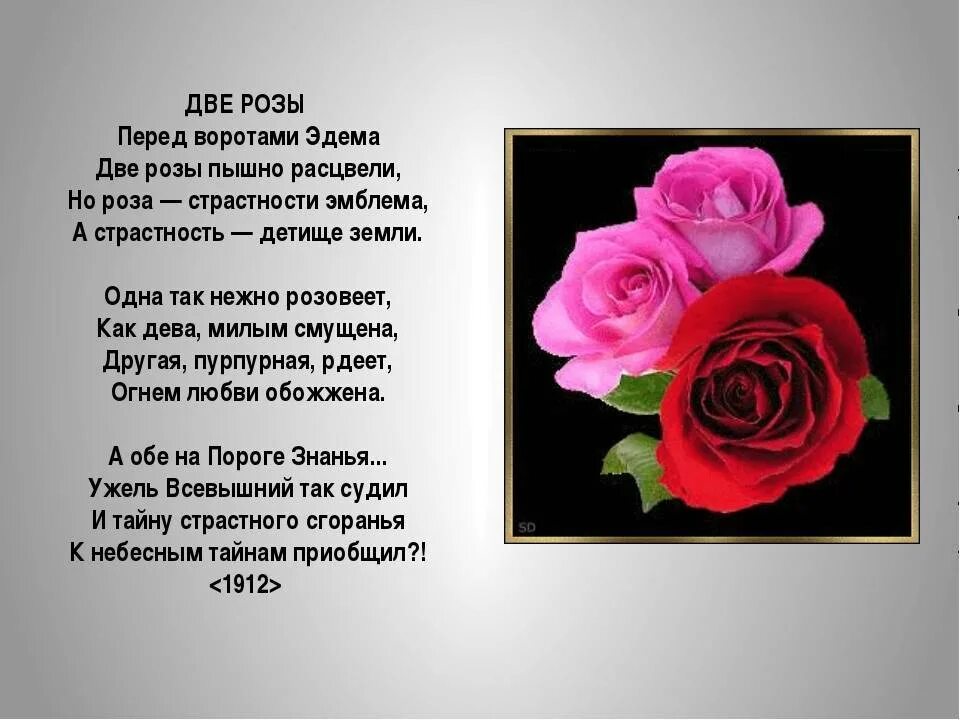 Стихотворение алые