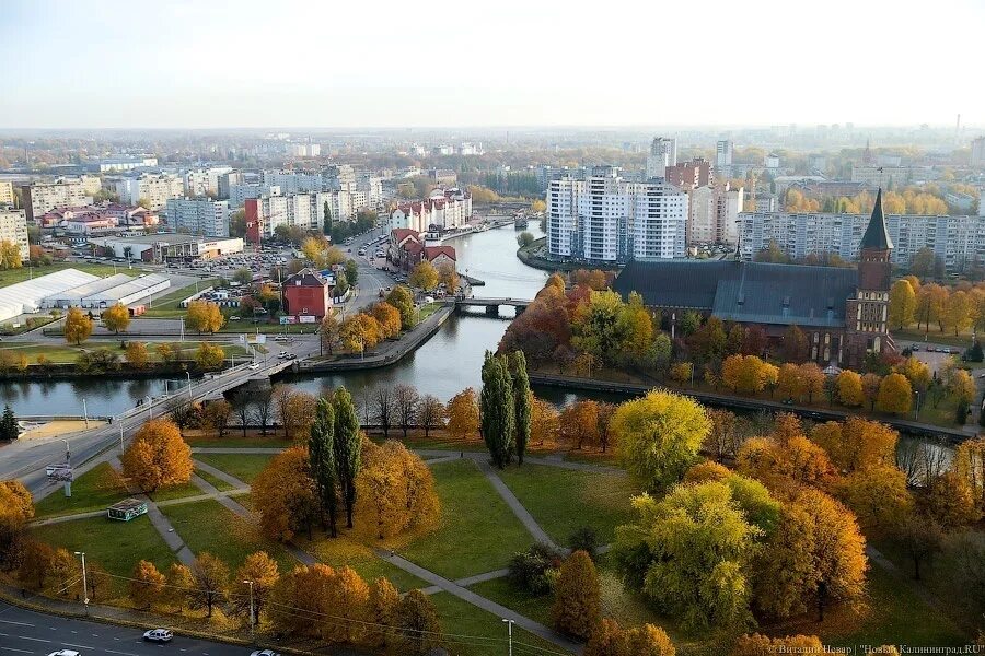 В Калининграде пройдут общественные слушания по вопросу цветового климата в горо
