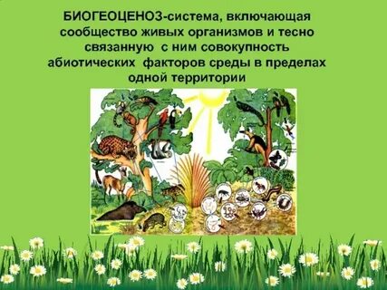 Живые организмы и способы их перемещения