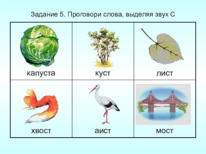 Что такое согласованный звук. Аист-хвост-куст-мост. Проговорить слова со звуком с. Задачи на звук. Среди звуков выделяют