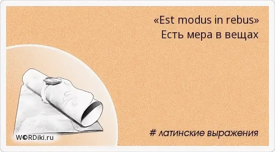 Определение модели и моделирования. Модус с латыни. Моделирование замещения. Понятие образ жизни. Модус с латыни.