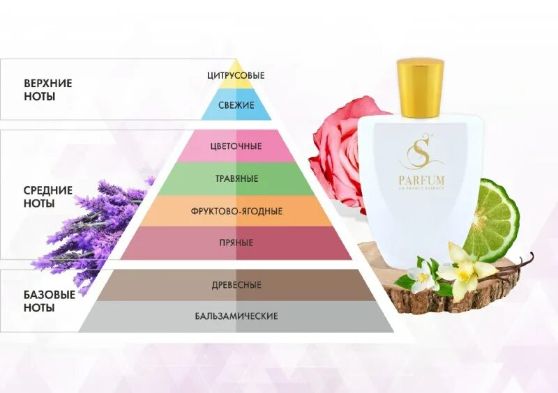 ноты сердца магазин парфюмерии. ольфактивная пирамида ароматов. ноты сердца магазин парфюмерии. пирамида ароматов парфюм. аромат яблок.