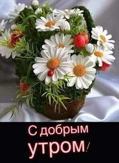 Доброе утро картинки с цветами пожелания здоровья