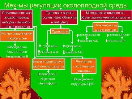 Эмболия клинические рекомендации