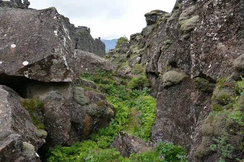 Каменная пасть