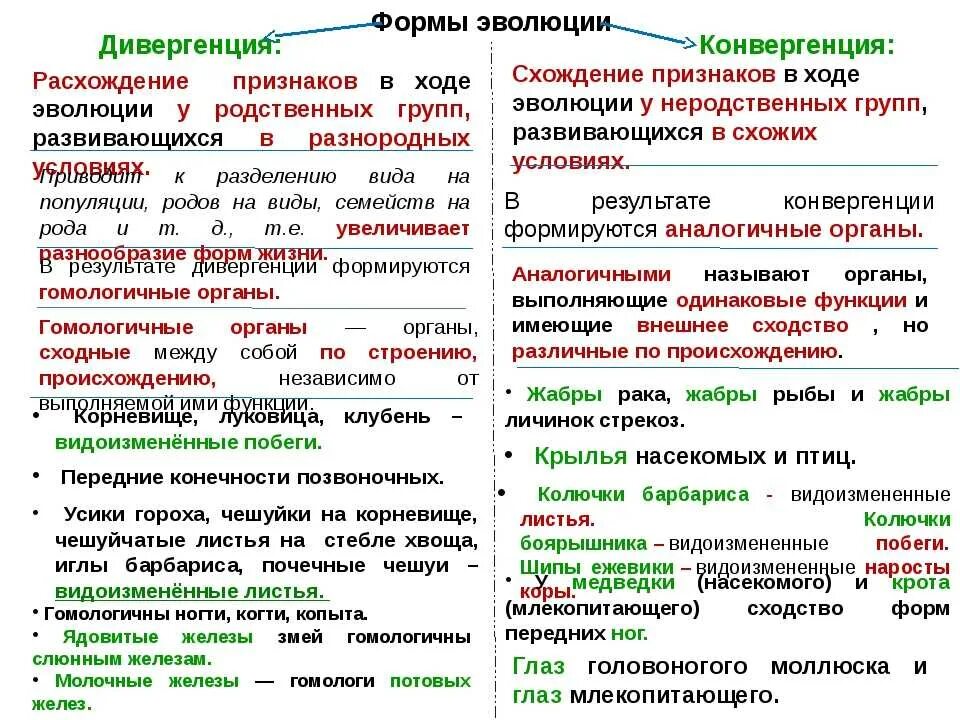 Конвергенция и дивергенция глаз: найдено 89 изображений