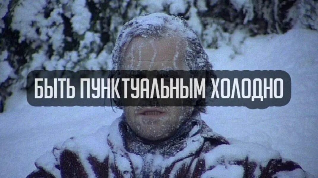 Холодно обращается. Быть пунктуальной холодно. пофиг мороз. вся дрожишь от лютого мороза. мороз понимаешь картинка.