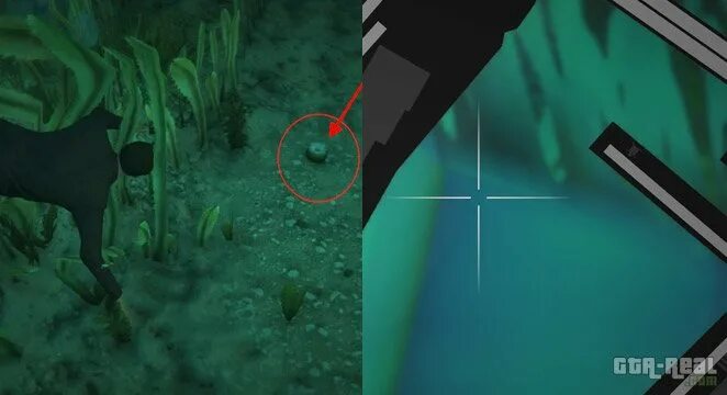 Где найти все лофофоры. Лофофоры в gta 5. лофофора в гта 5. карта лофофор в гта 5. вся лофофора в гта 5.