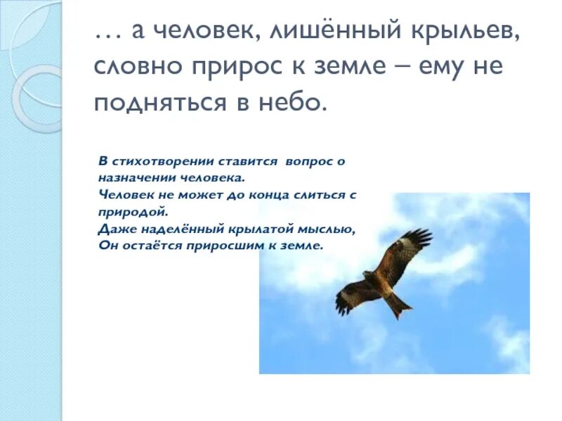 С Поляны Коршун поднялся Тютчев. С неба Коршун поднялся. Стихотворение с Поляны Коршун поднялся. Стих с Поляны Коршун поднялся Тютчев.