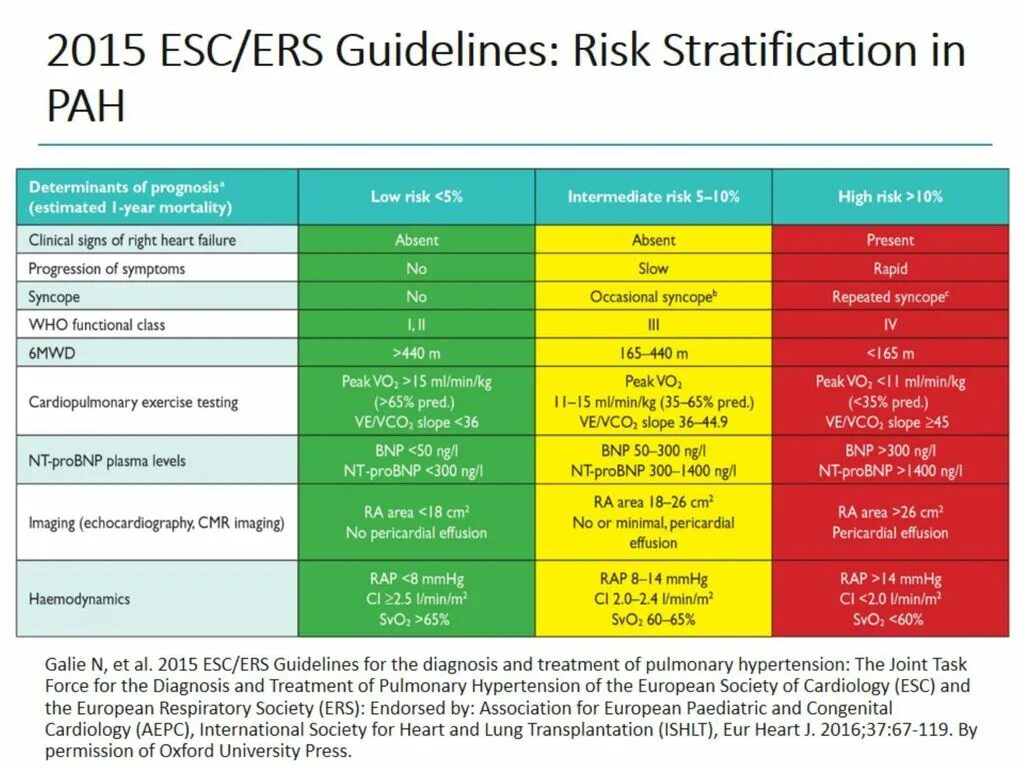 Arterial Hypertension diagnosis. Pulmonary Hypertension treatment. Arterial Hypertension Guidelines. Arterial Hypertension risk Factors. Risks org