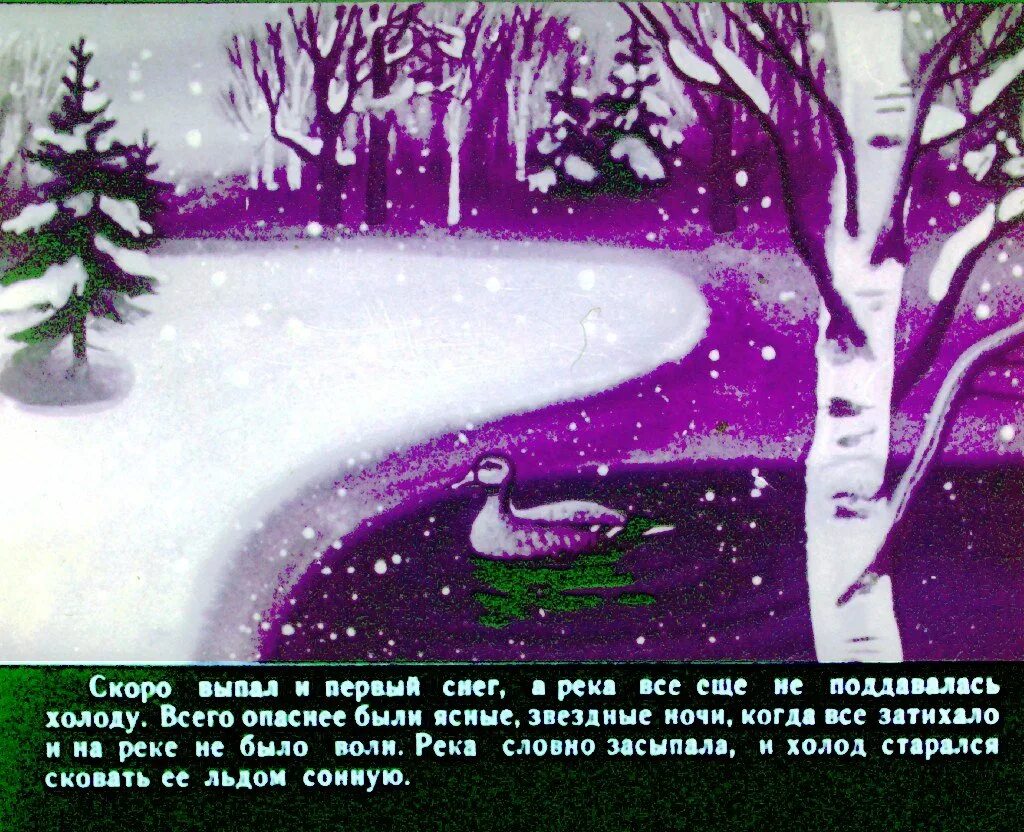 Сочинение по картине серая шейка 3 класс. Диафильм серая шейка д.мамин-сибиряк. диафильм мамин сибиряк серая шейка. диафильм &quot;серая шейка&quot;. сочинение серая шейка.