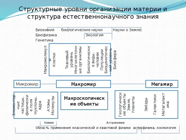 Структура микромира. Структура микромира