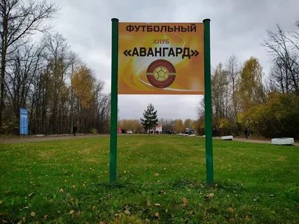 Авангард электросталь