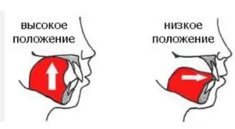 Язык вниз