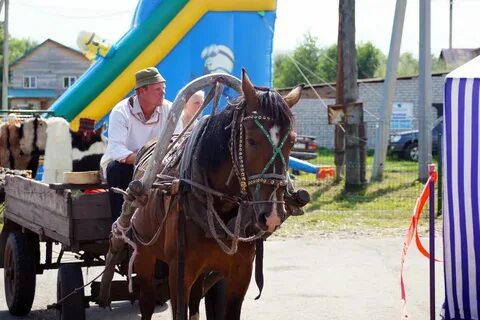 Погода рп5 старобелокуриха