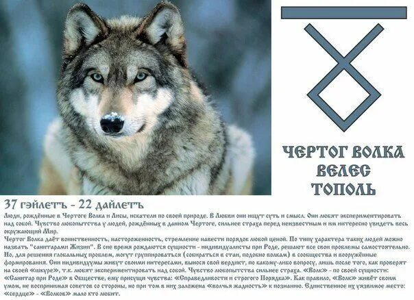 притаившийся лют по славянскому календарю характеристика