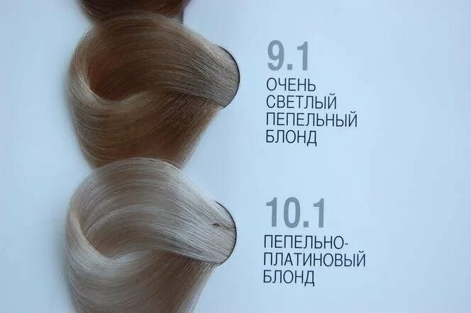 Капус палитра пепельных. Краска брелил классик палитра. Капус палитра пепельных. Londa professional 6/81. Капус палитра пепельных.