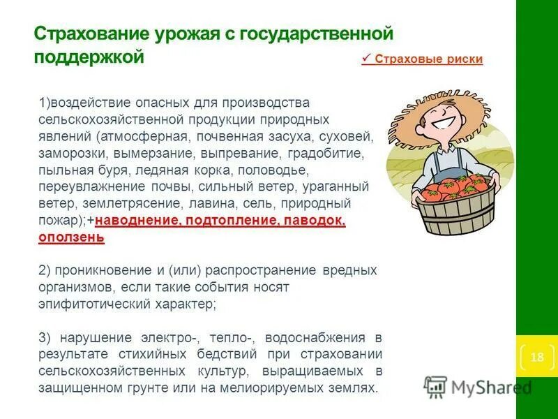 страхование урожая сельскохозяйственных культур. страхование сельскохозяйственных культур. сельское хозяйство. преимущества страхования урожая. национальный союз агростраховщиков.