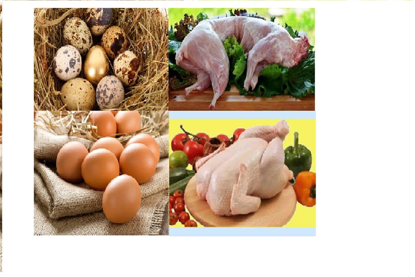 Куриное мясо и яйца. Курица с яйцами. Домашние куры яйца. Куриные и перепелиные яйца. Яйцо мясная курица