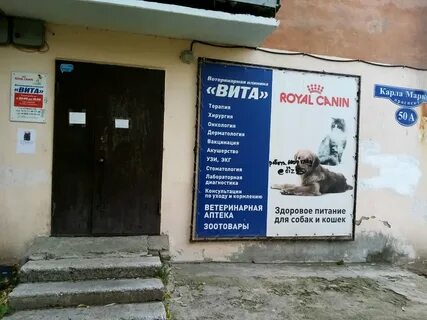 Вивалавита ветклиника гатчина отзывы
