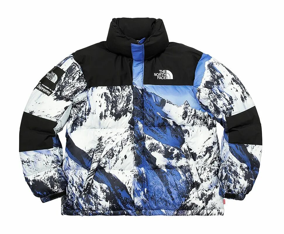 Норт х. Пуховик the North face 700 Supreme. The North face Supreme пуховик. Куртка the North face x Supreme 700. TNF Supreme куртка.