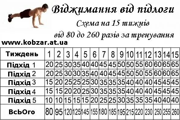 Количество отжиманий от пола. Схема отжиманий с нуля. Программа отжиманий. Отжимания подходы. Схема отжиманий.