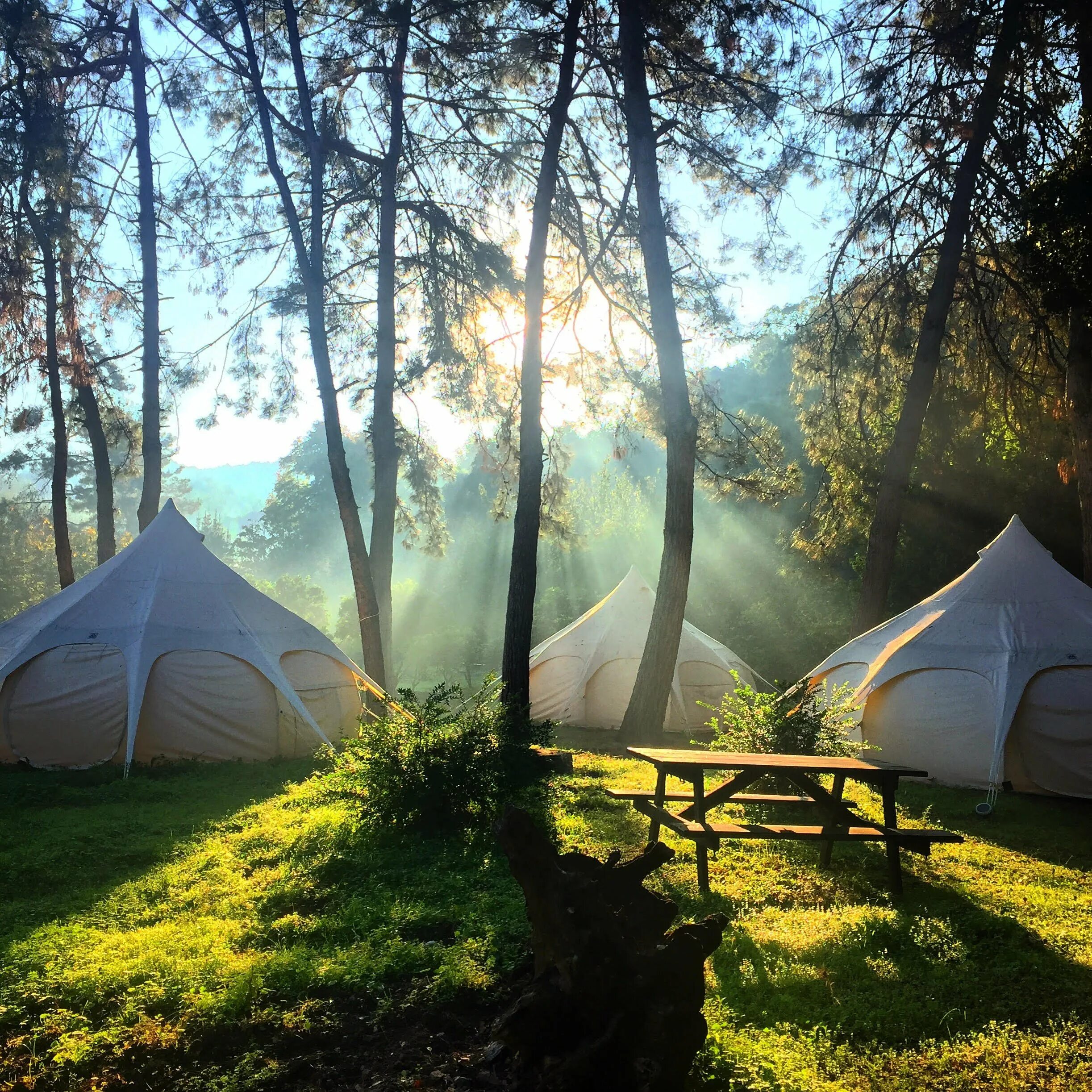 Палатка туристическая. Палатка на природе. Глэмпинг лотус. Camping тема. Оренбург туризм.