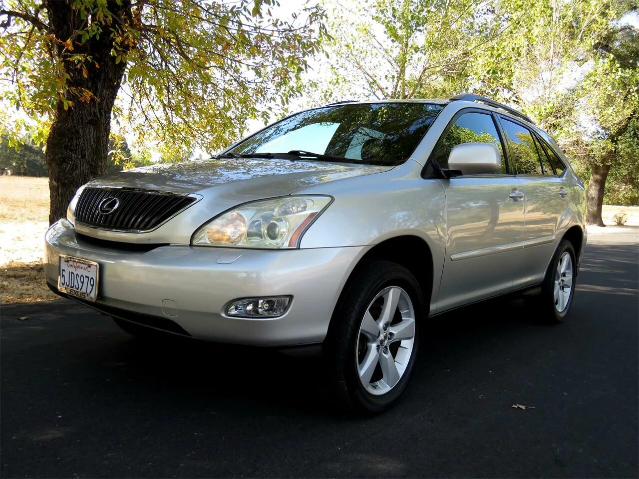 Лексус рх 300 2000 года. Lexus rx330 2004. Lexus RX 2004. Лексус РХ 330 2004. 330 Rx330 Lexus.