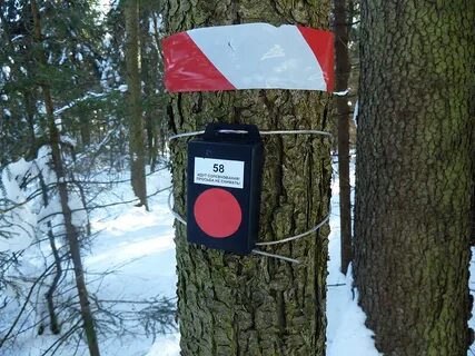 Пункты по которым