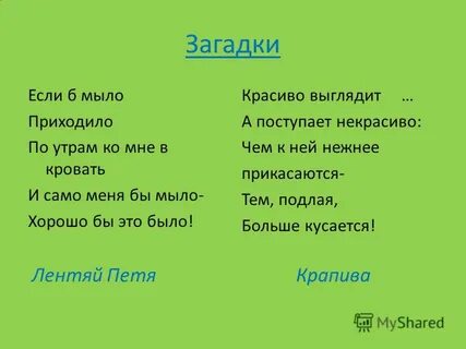 Если б мыло приходило по утрам