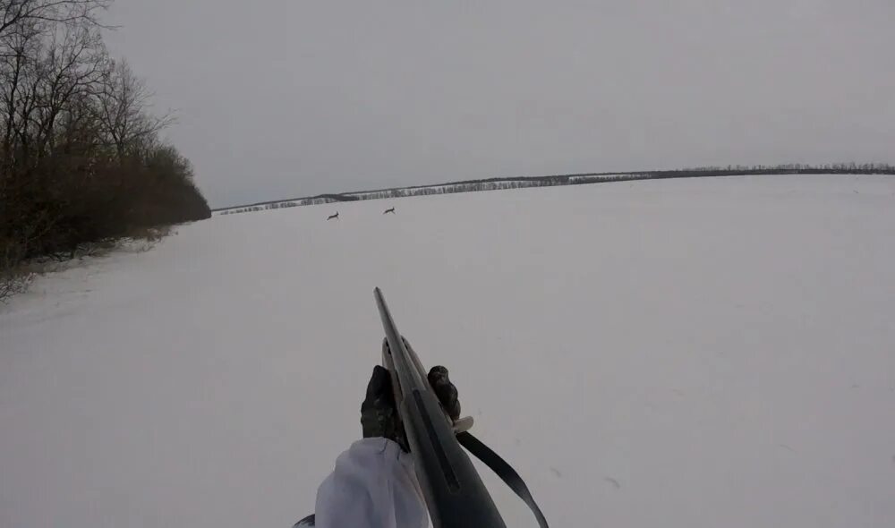 Погода зайцева алтайский край. Охота на зайца в Воронежской области.