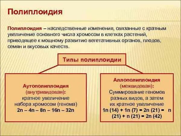 Полиплоидия является результатом. Виды полиплоидии. Полиплоидия примеры у человека. Полиплоидия у растений. Типы полиплоидов.